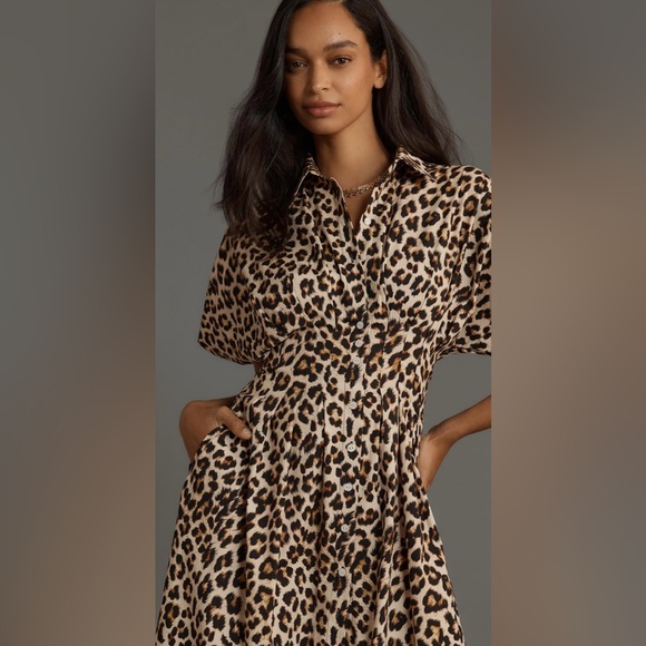 Anthropologie The Tobie Button-Front Pleated Shirt Dress by Exquise - Picture 3 of 5